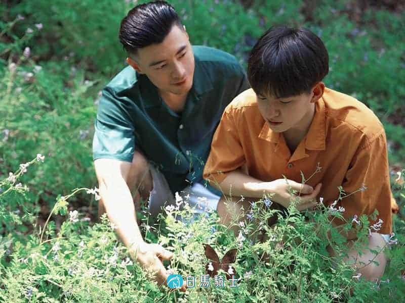 十八岁男孩和乡下巨根表哥的暧昧  - 第 1 页-白马骑士